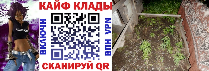 Купить наркотик аптеки Шахунья Гашиш МЕТАДОН Меф мяу мяу Конопля mega ТОР Alpha-PVP